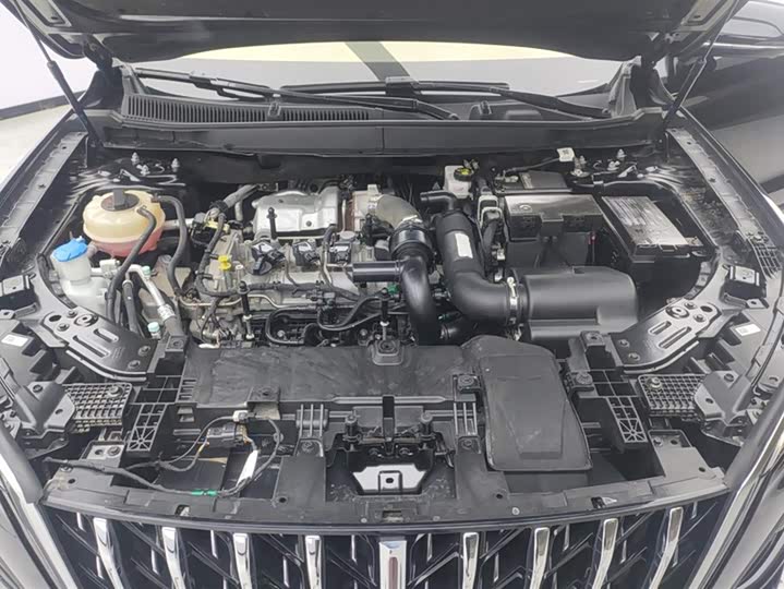 Фото 10 - Hongqi HS5