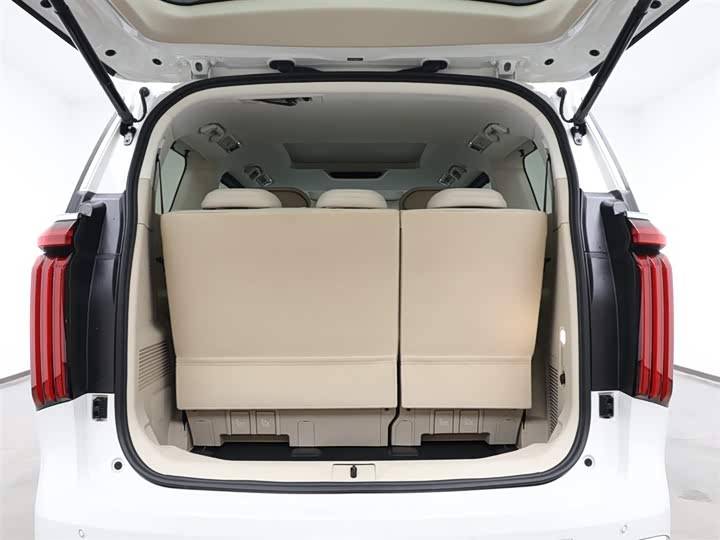 Фото 6 - Wey Gaoshan