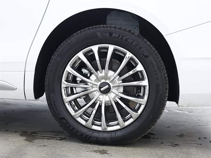 Фото 7 - Wey Gaoshan