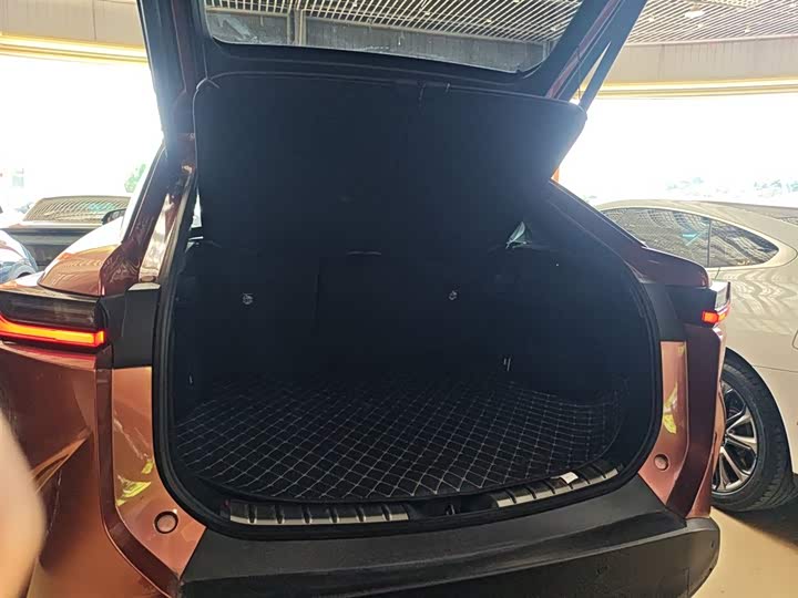 Фото 19 - Lexus RZ