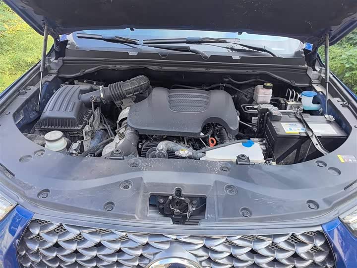 Фото 19 - Great Wall Pao