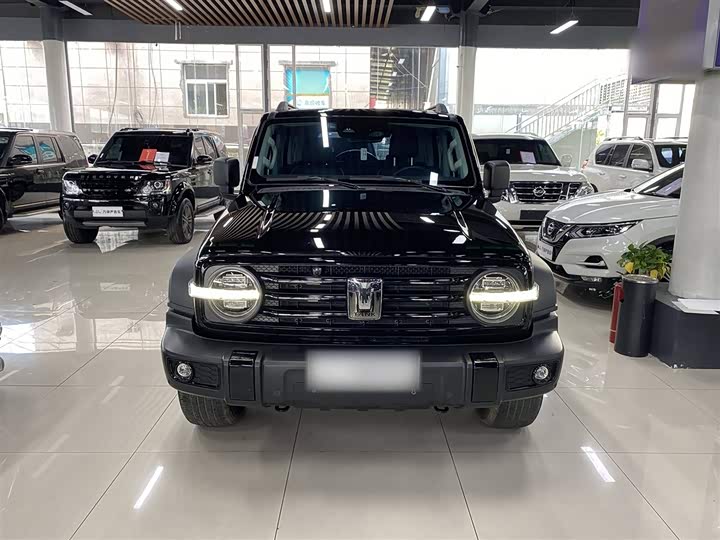 Фото 10 - Tank 300