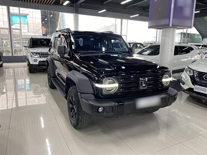 Фото 11 - Tank 300