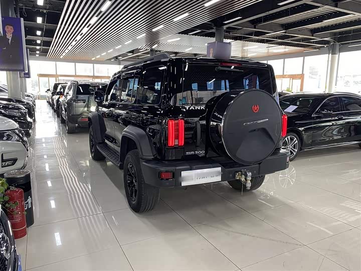 Фото 12 - Tank 300