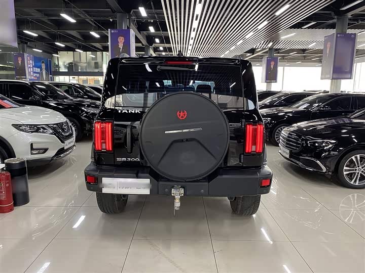 Фото 13 - Tank 300