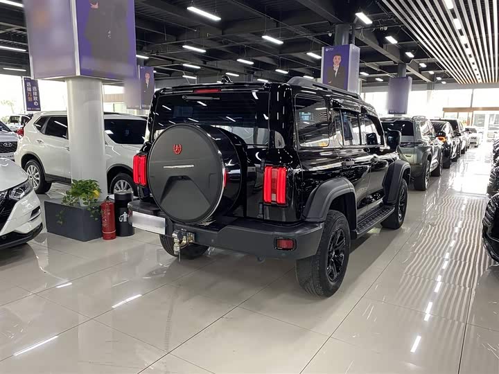 Фото 14 - Tank 300