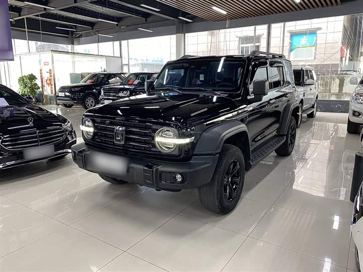 Фото 3 - Tank 300