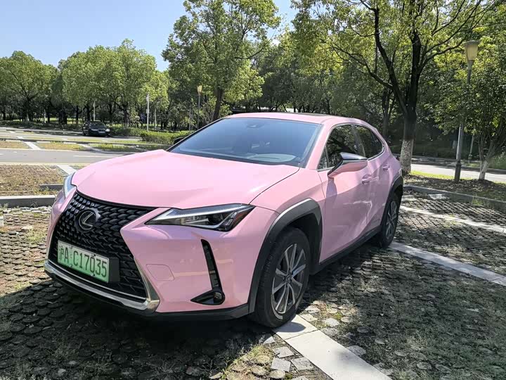 Фото 1 - Lexus UX Hybrid