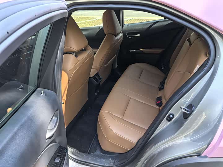 Фото 13 - Lexus UX Hybrid