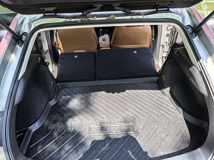 Фото 16 - Lexus UX Hybrid