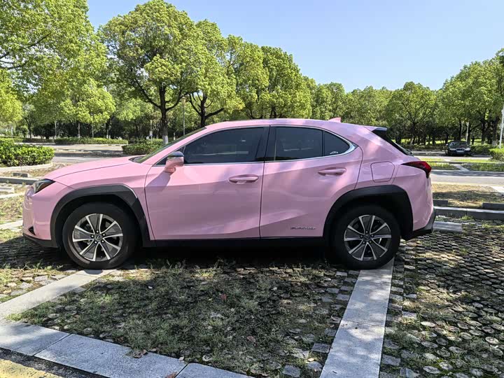 Фото 3 - Lexus UX Hybrid