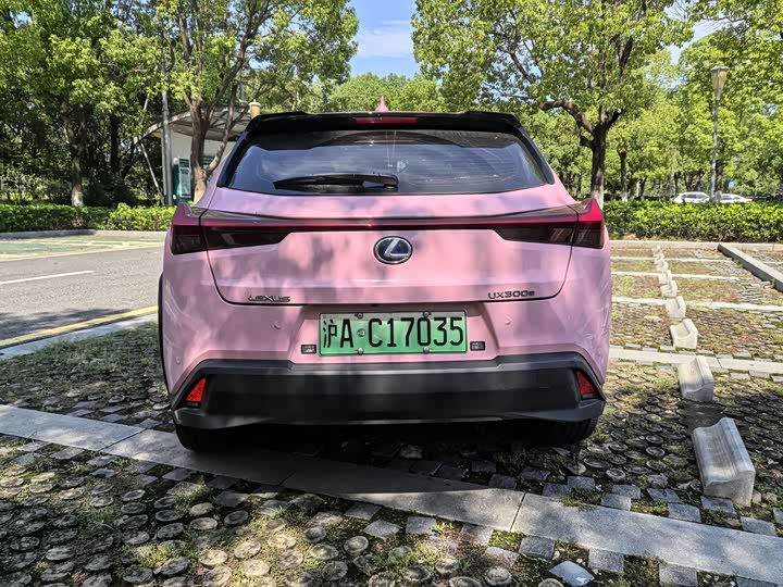 Фото 5 - Lexus UX Hybrid