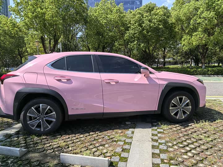 Фото 6 - Lexus UX Hybrid