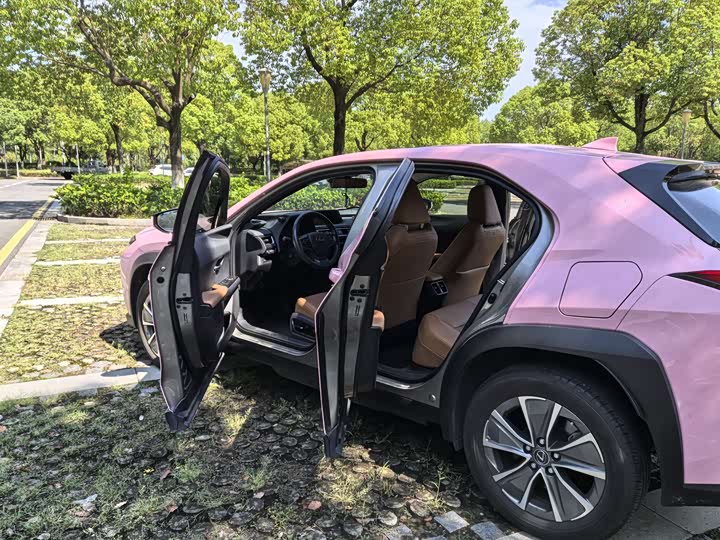 Фото 7 - Lexus UX Hybrid