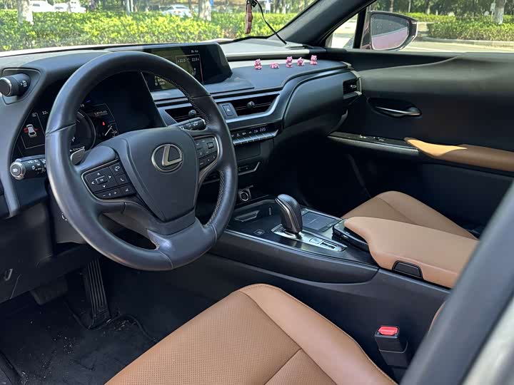 Фото 9 - Lexus UX Hybrid