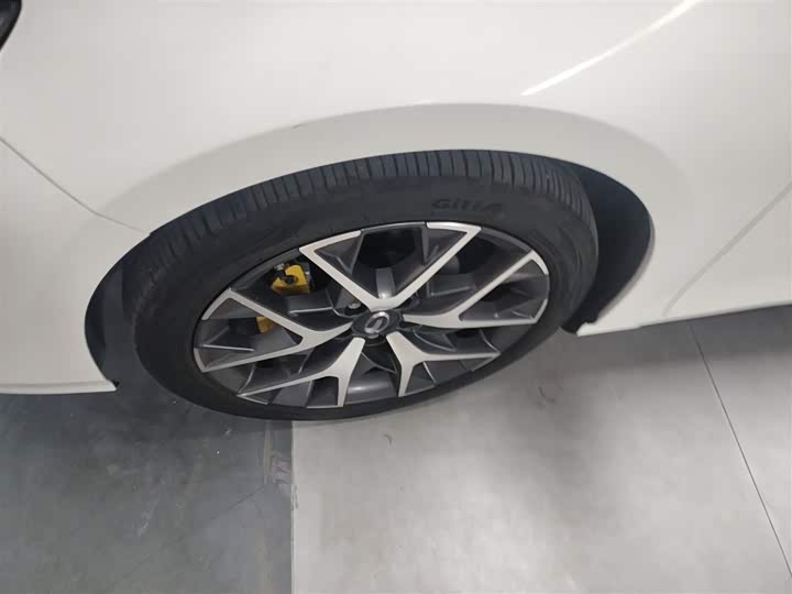 Фото 23 - GAC Trumpchi Empow R