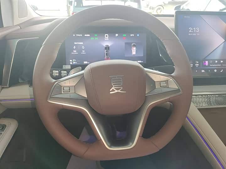 Фото 11 - BYD Xia