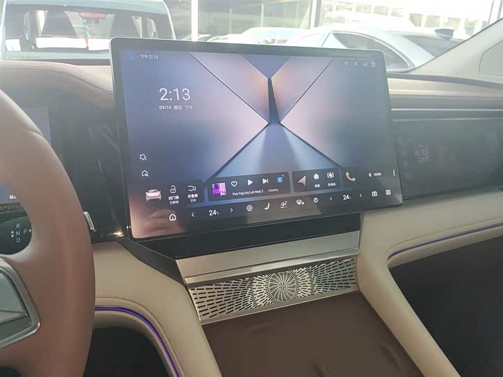 Фото 13 - BYD Xia