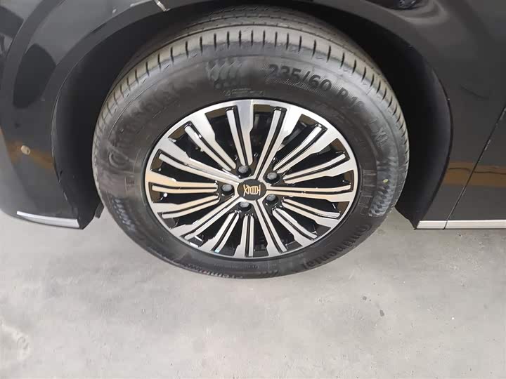 Фото 23 - BYD Xia