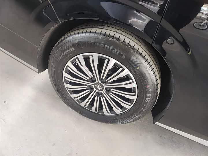 Фото 30 - BYD Xia