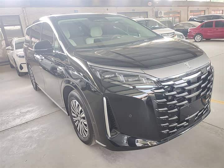 Фото 4 - BYD Xia