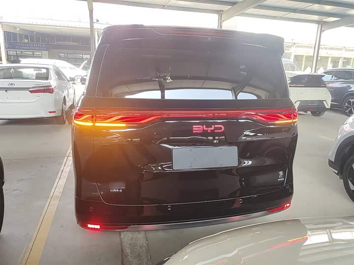 Фото 6 - BYD Xia