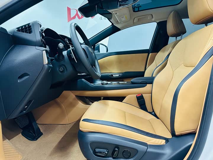 Фото 20 - Lexus RZ