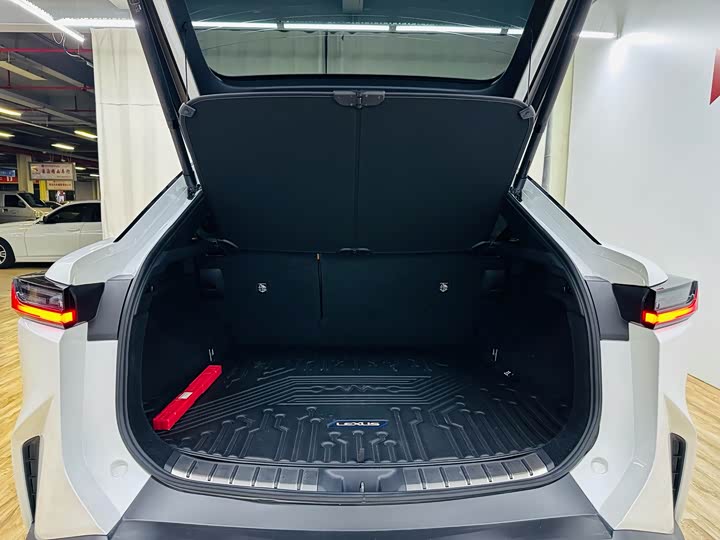 Фото 8 - Lexus RZ