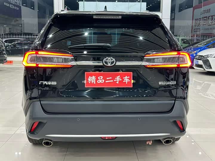 Фото 5 - Toyota Wildlander