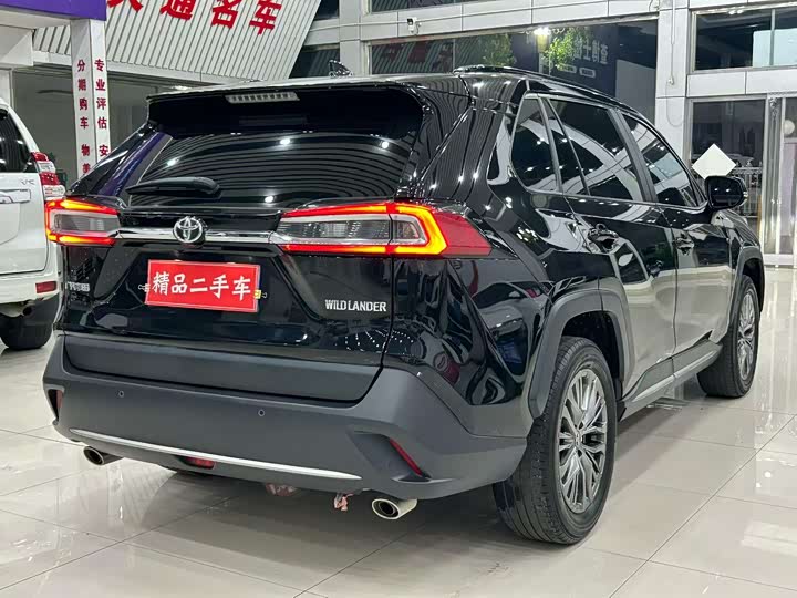 Фото 6 - Toyota Wildlander