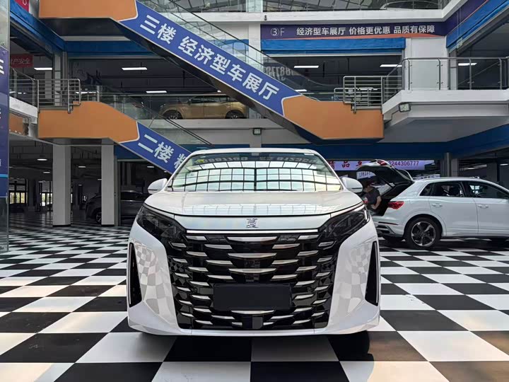 Фото 2 - BYD Xia