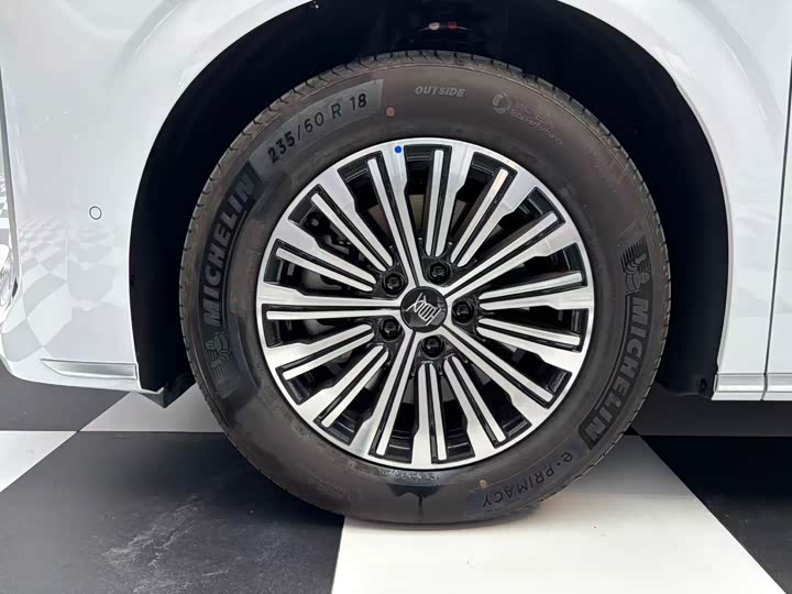 Фото 4 - BYD Xia