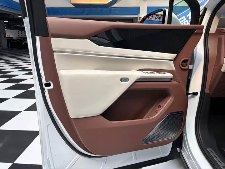 Фото 6 - BYD Xia