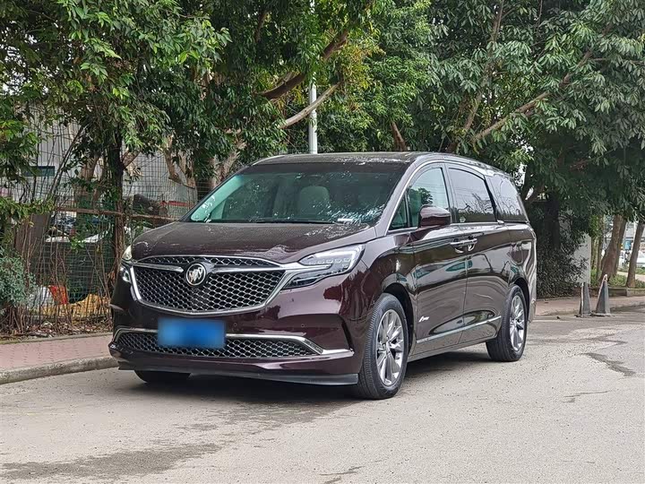 Фото 2 - Buick GL8 ES