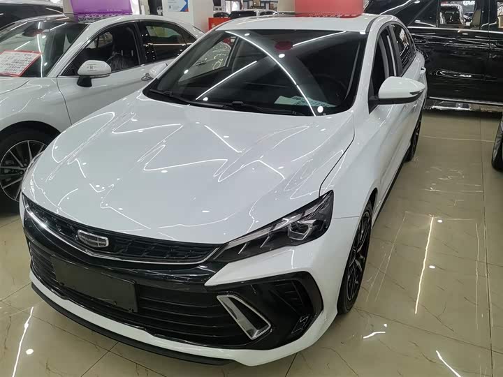 Фото 2 - Geely Binrui