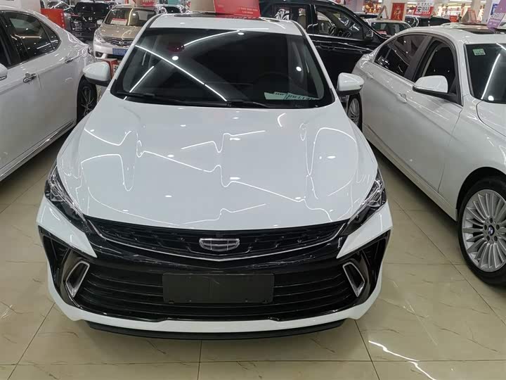 Фото 3 - Geely Binrui