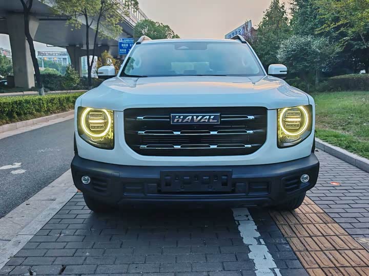 Фото 2 - Haval Dargo