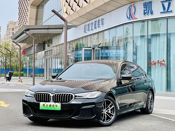 Фото 1 - BMW 5 Series Hybrid