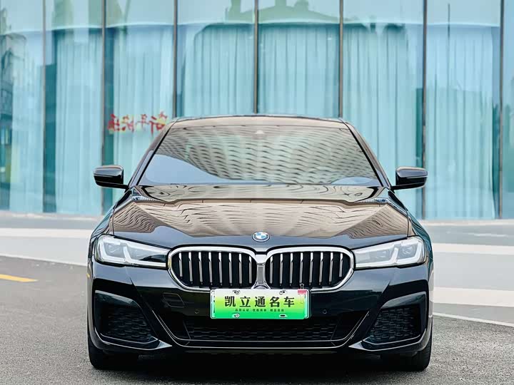 Фото 2 - BMW 5 Series Hybrid