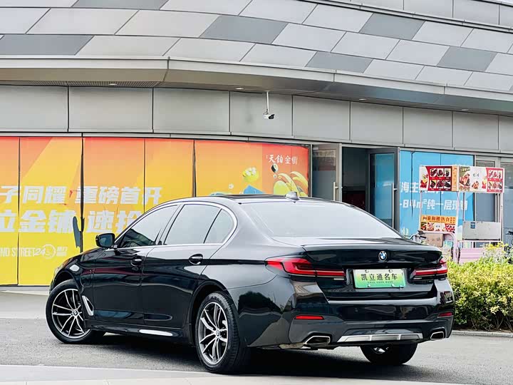 Фото 4 - BMW 5 Series Hybrid