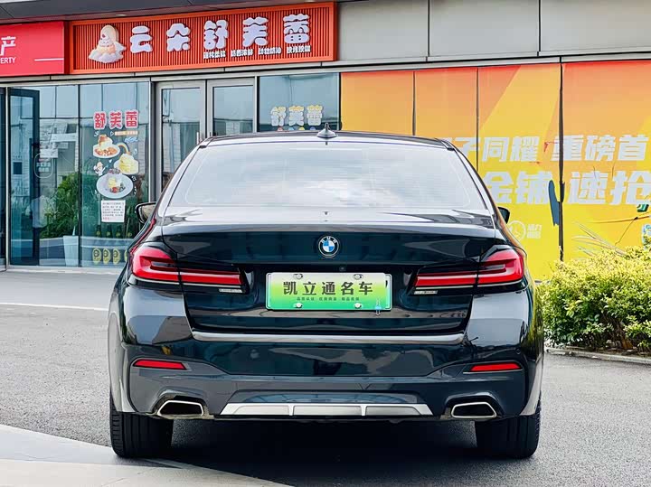 Фото 5 - BMW 5 Series Hybrid