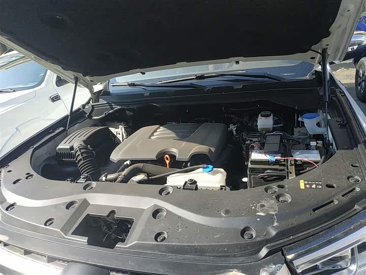 Фото 23 - Great Wall Pao