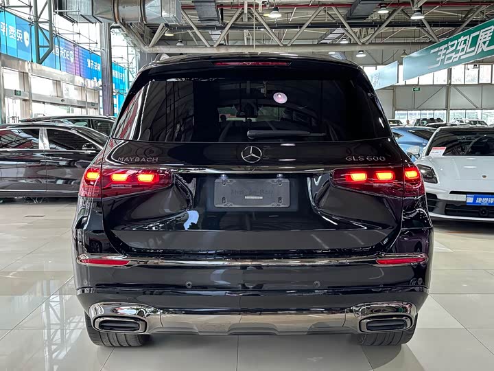 Фото 7 - Mercedes-Benz Maybach GLS