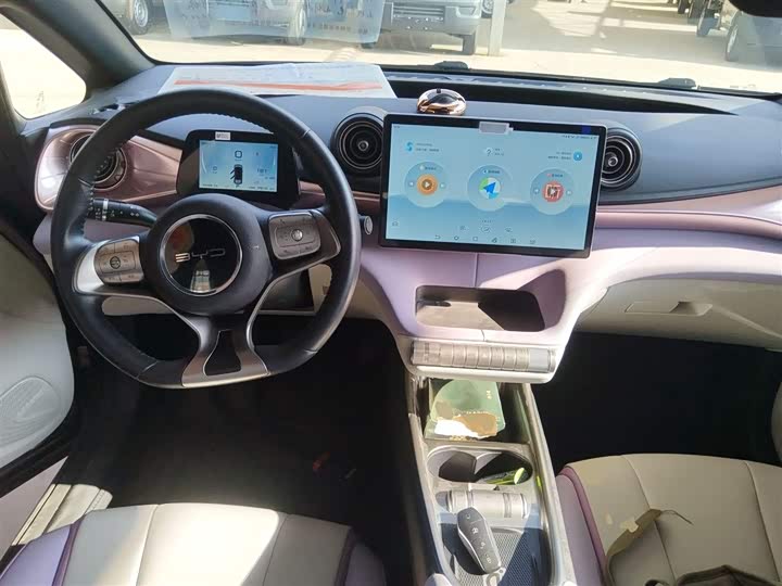 Фото 10 - BYD Dolphin