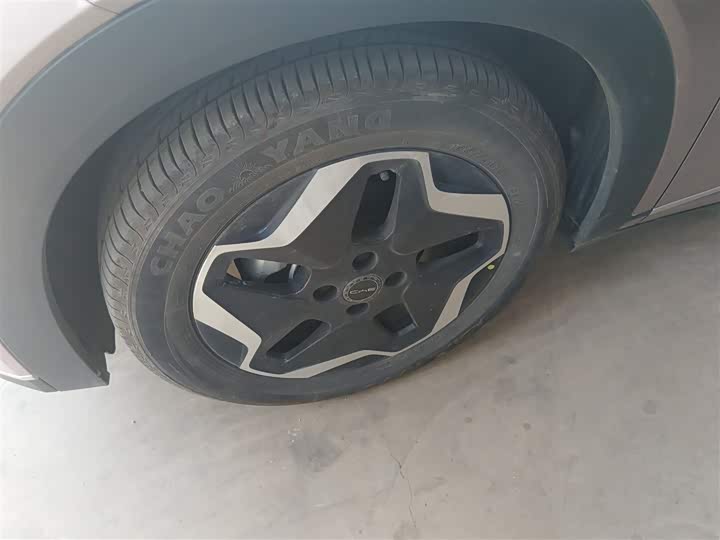 Фото 24 - BYD Dolphin