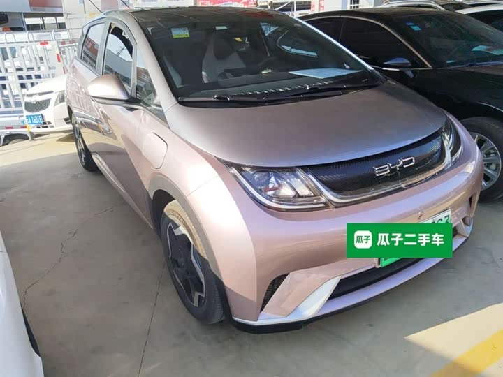 Фото 4 - BYD Dolphin