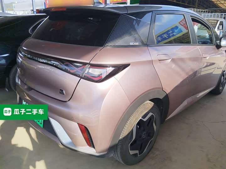 Фото 7 - BYD Dolphin