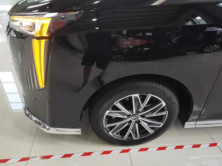 Фото 23 - GAC Trumpchi M8