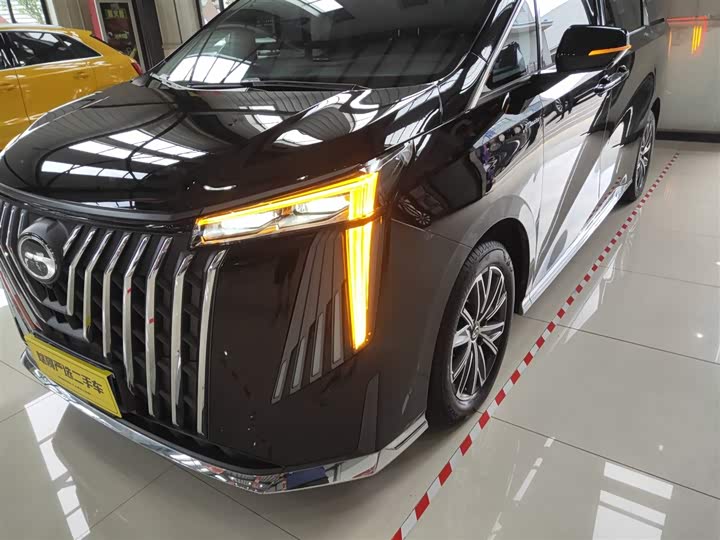 Фото 24 - GAC Trumpchi M8