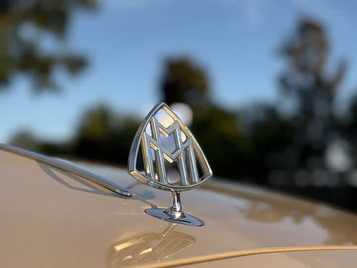 Фото 8 - Mercedes-Benz Maybach S-Class